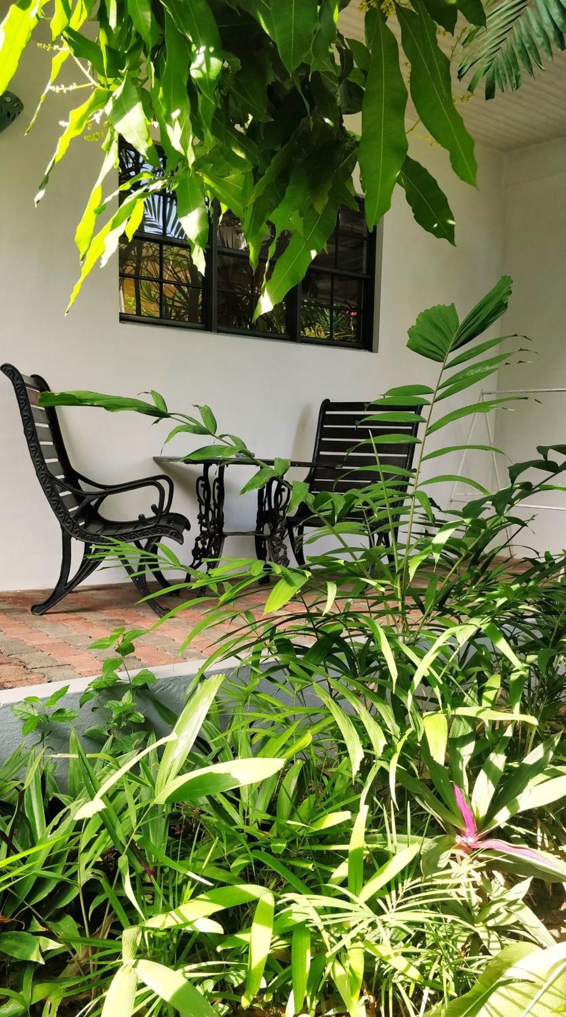 Bananaquit Tobago -Stay Near The Beach 크라운 포인트 외부 사진